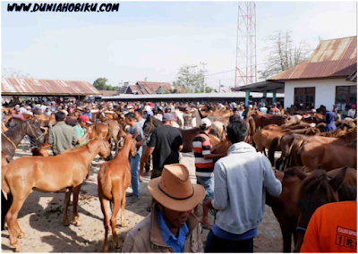 pasar hewan di jeneponto