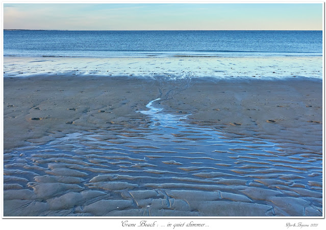 Crane Beach: ... in quiet shimmer...