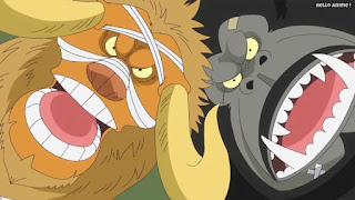 ワンピースアニメ 776話 ロディ BB | ONE PIECE Episode 776