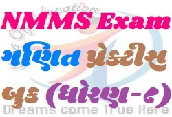 Maths Practice Book For NMMS Exam