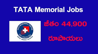 TATA Memorial Jobs
