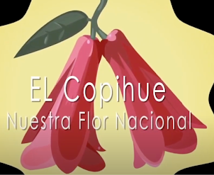 El copihue