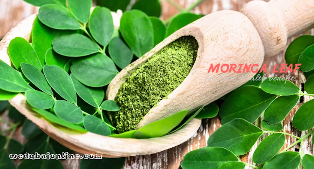 Moringa for Best Health Benefits