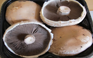 Health Benefits of Mushrooms & Portobello Mushrooms