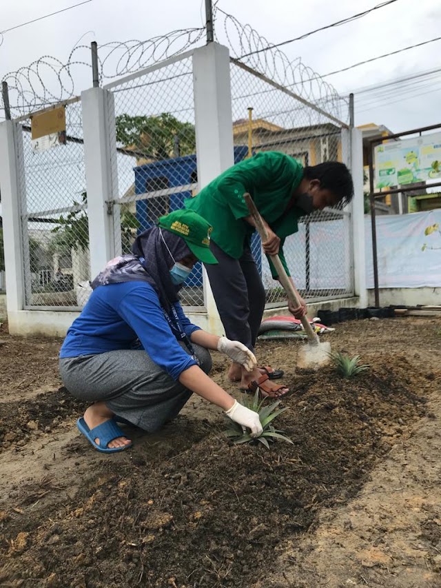 Jaga Pertumbuhan Tanaman Herbal, KKN 039 Unimal Tanam Apotik Hidup