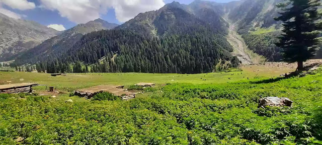 Swat from Islamabad | A scenic journey towards tourist's heaven