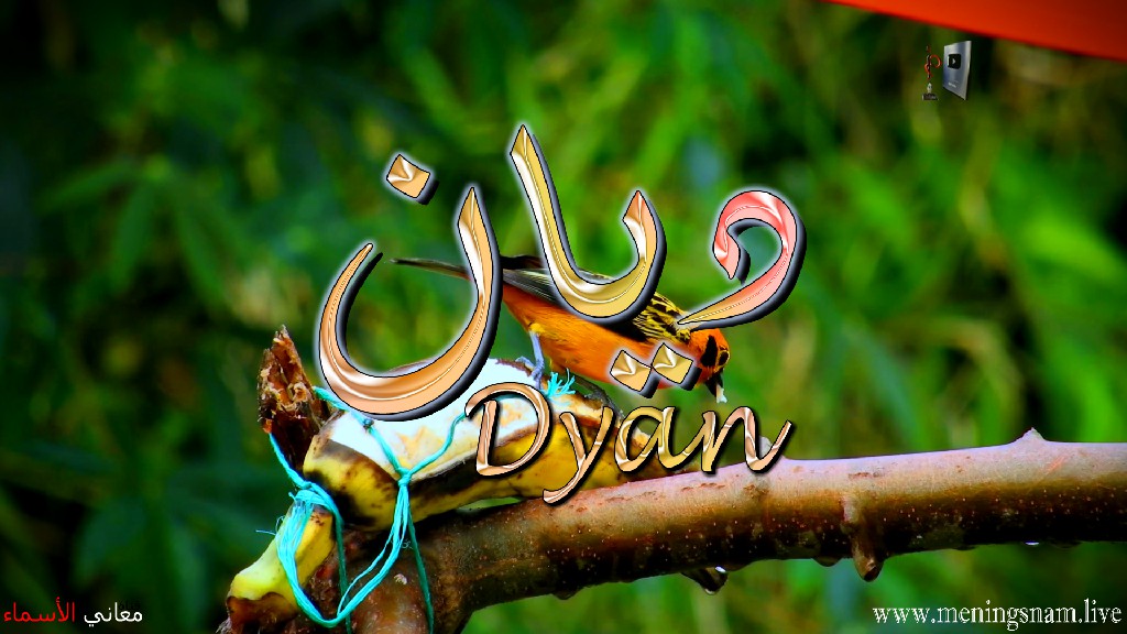 معنى اسم, ديان, وصفات, حامل, هذا الاسم, Dyan,