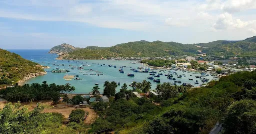 Ninh Thuận: Nhân viên bảo vệ tổ yến bị sóng biển cuốn trôi trên vịnh Vĩnh Hy
