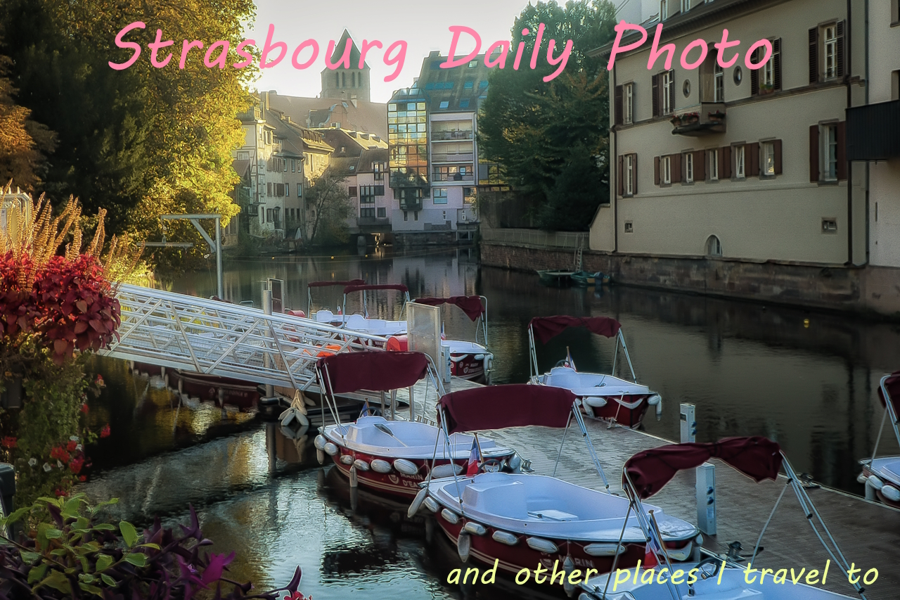 Strasbourg Daily Photo