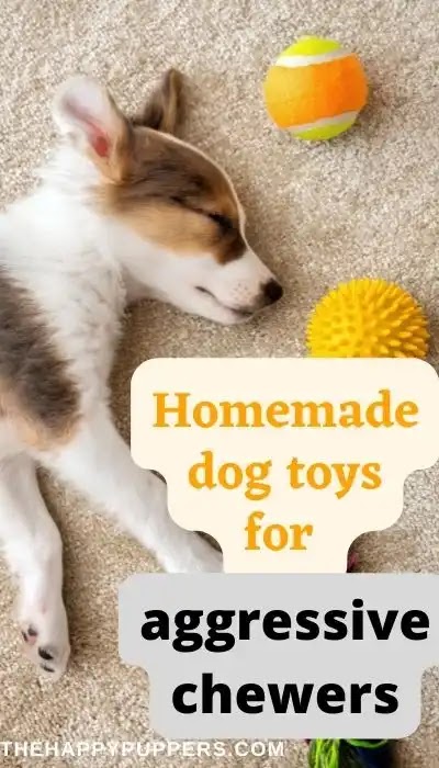 9 amazing HOMEMADE DOG chew toys for aggressive chewers