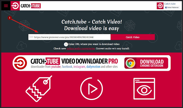 download video pinterest dengan catch tube