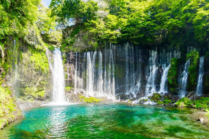 น้ำตกชิระอิโตะ (Shiraito Falls)