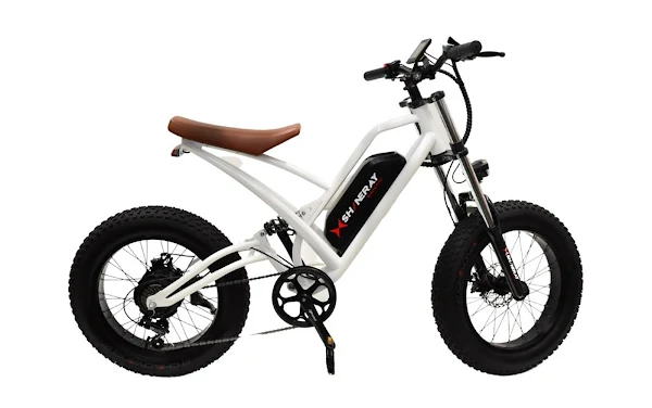 Shineray SE-Bike elétricas - preço, autonomia, recarga