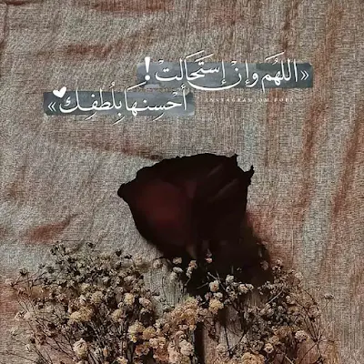 منشورات راقية عن الحياة بالصور