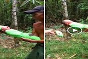 Warga Desa Neglasari Dikejutkan Dengan Penemuan Bayi Perempuan di Kebun Bambu