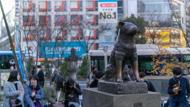 The story of the dog Hachiko gained worldwide fame, particularly after the 2009 movie of the same name, starring Richard Gere