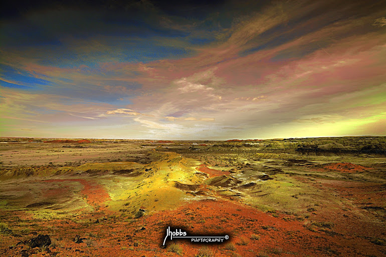 Bisti Wilderness - Northwest New Mexico