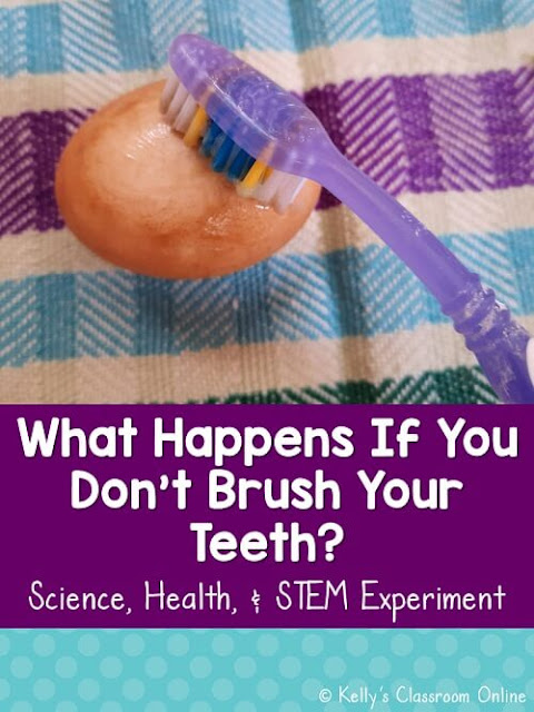 What Happens If You Don't Brush Your Teeth? STEM Experiment Science Experiment