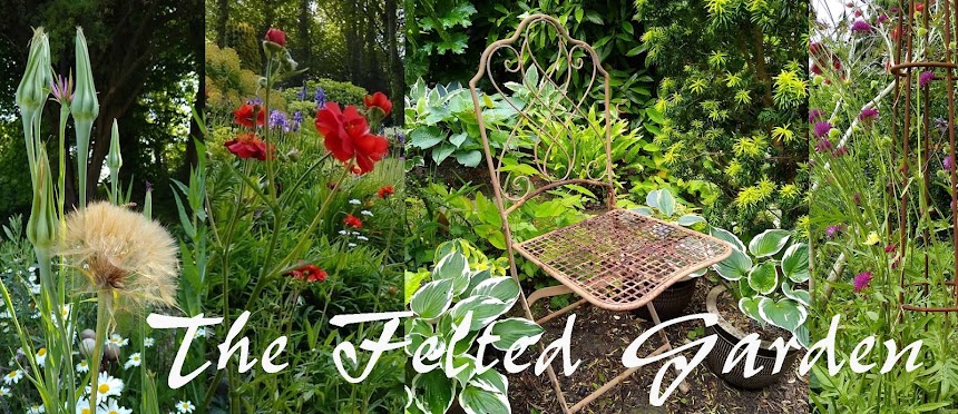 The FELTED garden  