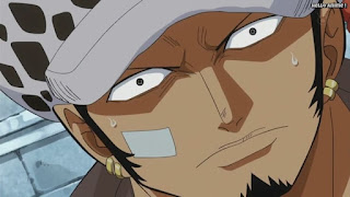 ワンピースアニメ ドレスローザ編 743話 トラファルガー・ロー かっこいい トラ男 Trafalgar Law | ONE PIECE Episode 743