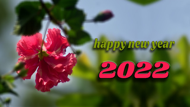 2022 Happy New Year 2022 Instagram Captions, Facebook Status, Twitter, greeting, wishes,