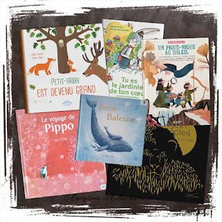 Sélection de livres à offrir à Noel comme cadeau, très beaux albums jeunesse pour les enfants et bébé par Comptines et Belles Histoires