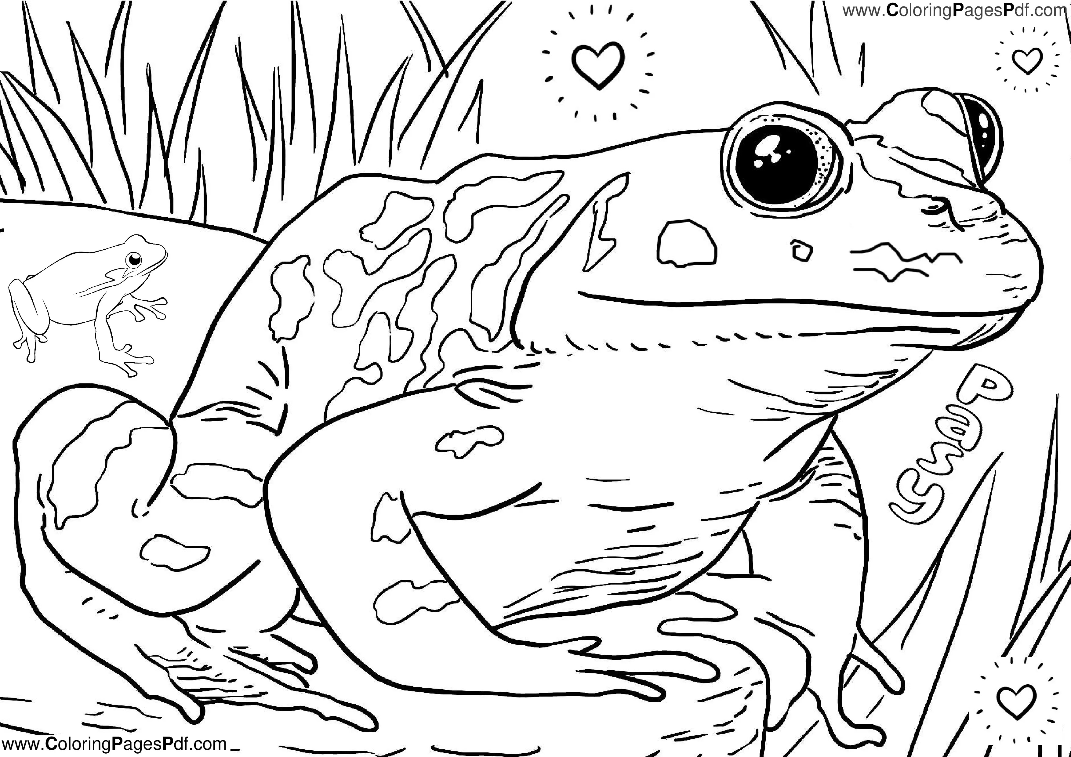 Frog coloring pages' aesthetic