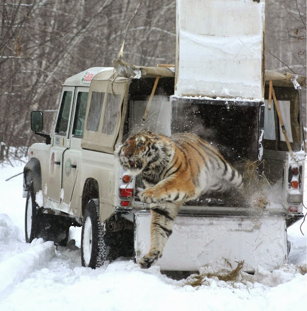 За секунду до...