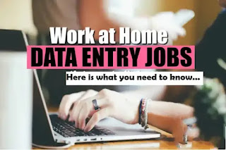 Data Entry Job क्या है?