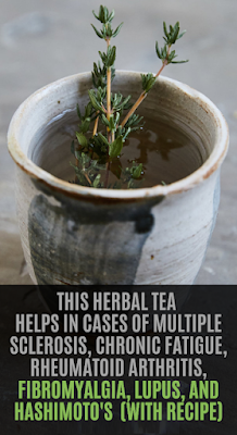 This Herbal Tea Helps in Cases of Multiple Sclerosis, Chronic Fatigue, Rheumatoid Arthritis, Fibromyalgia, Lupus, and Hashimoto’s!