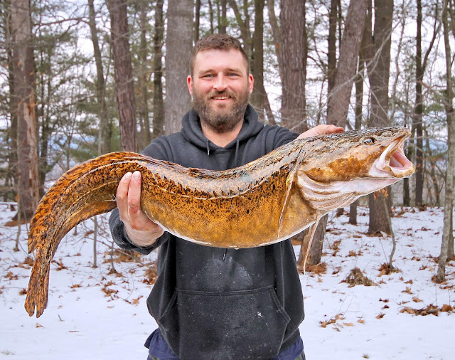 Man Reels In 12 Pounds Record-setting Fish From Lake Winnipesaukee
