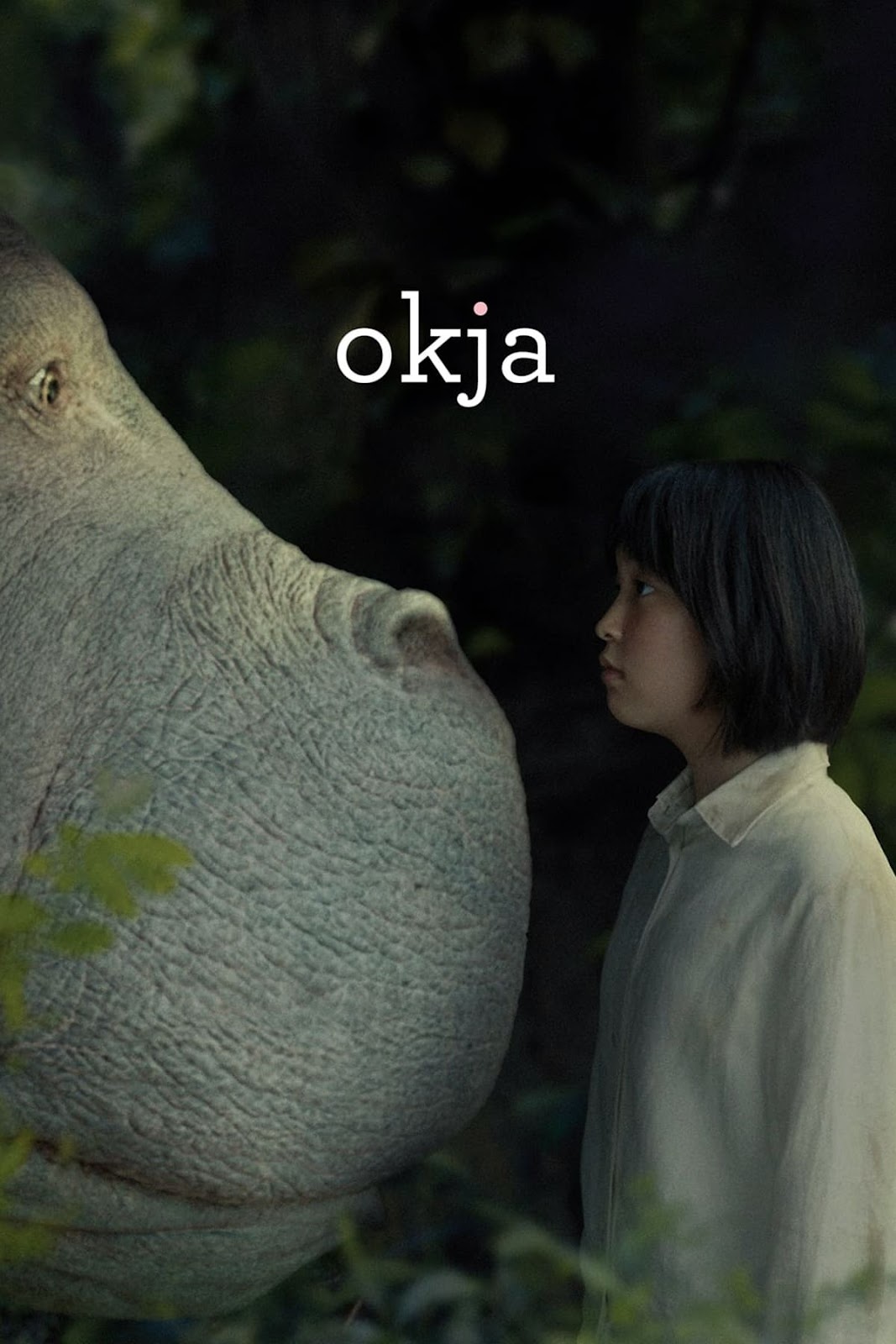 portada de la pelicula Okja latino descargar mega