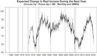 Expected Change in Real Income During the Next Year