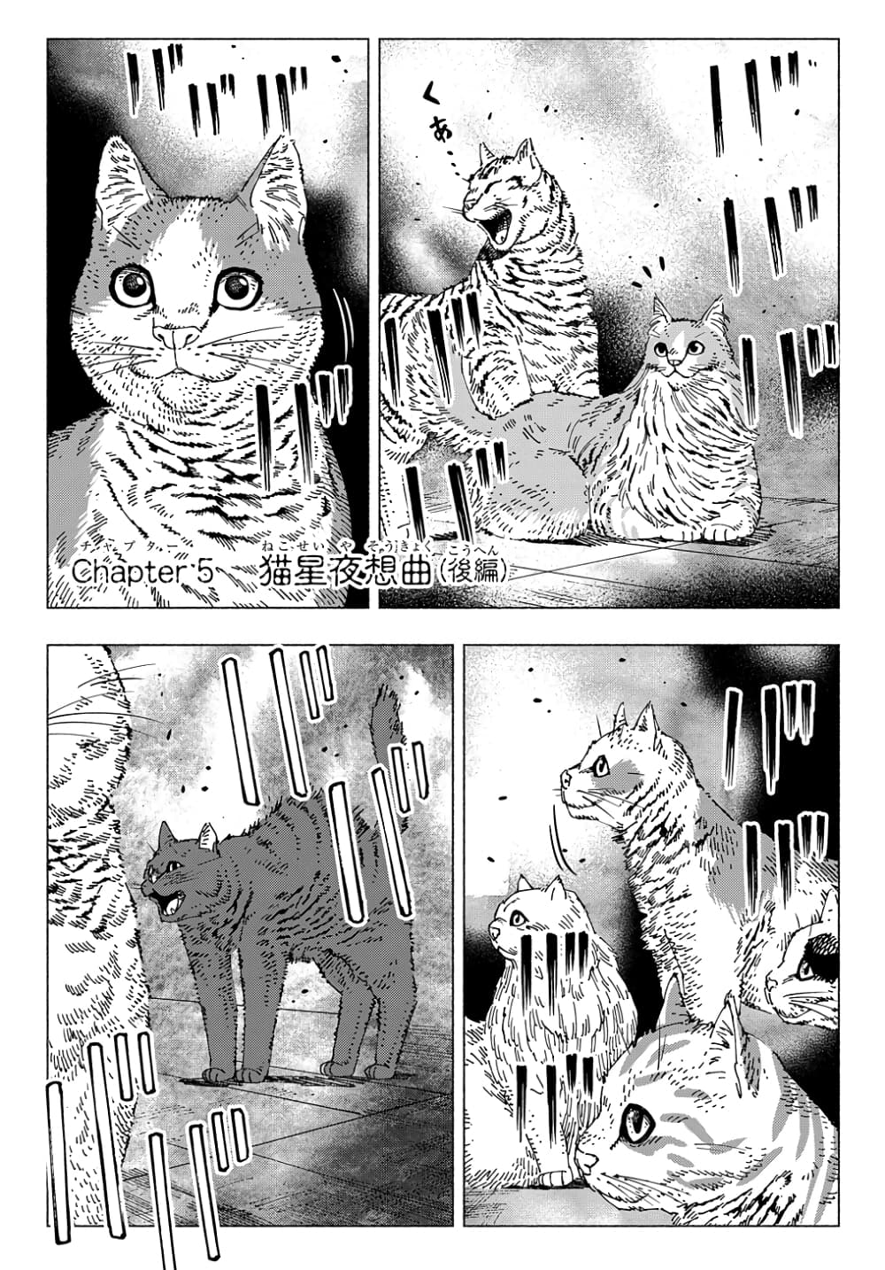 Nyaight of the Living Cat - หน้า 1