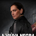 A Viúva Negra FILME ONLINE GRÁTIS