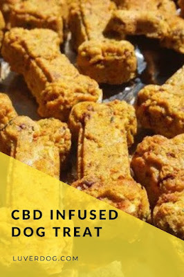 CBD-Dog treat