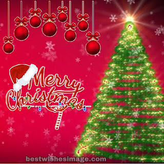 Best christmas wishes hd images and picture