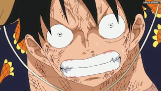 ワンピースアニメ ドレスローザ編 733話 ルフィ Monkey D. Luffy | ONE PIECE Episode 733