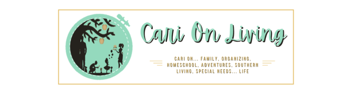 Cari On Living: Family, Organizing, Homeschool