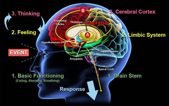Motivational speakers Psychology