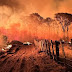          Ações da Operação Incêndios 2025 da PF iniciam pelo Pantanal      