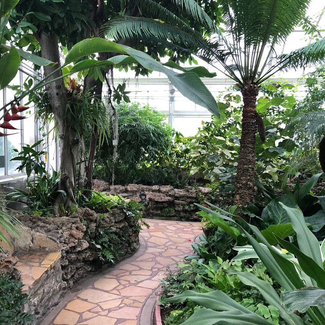 Winding paths full of green foliage year-round at Oak Park Conservatory.