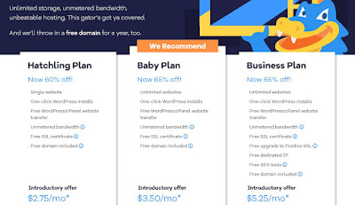 hostgator best hosting provider 2021