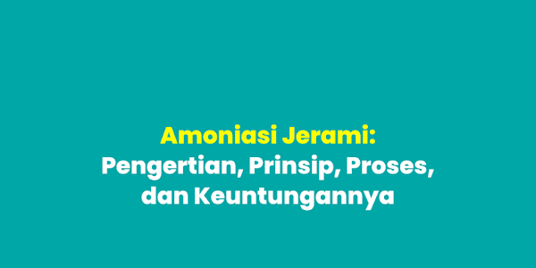 Amoniasi Jerami: Pengertian, Prinsip, Proses, dan Keuntungannya