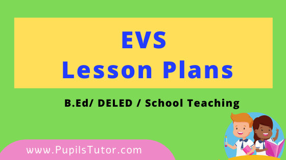 (Environmental Studies) EVS Lesson Plan For B.Ed And Deled 1st 2nd Year, School Teachers Class 6th To 12th In English Download PDF Free | Environmental Education Lesson Plans in English Class 1st 2nd 3rd 4th 5th 6th 7th 8th 9th 10th 11th 12th - www.pupilstutor.com