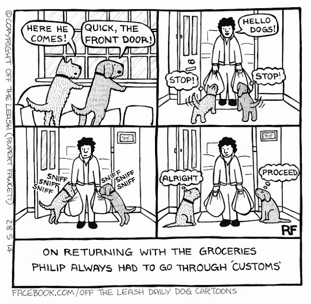 © 2022, Rupert Fawcett, Off The Leash Used by Permission