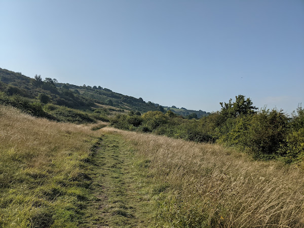 The signposted grass trail around the downs