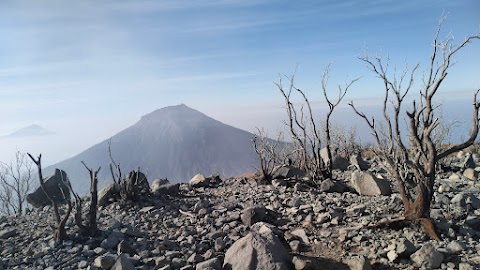 Guide Gunung Sindoro - pemandu Gunung Profesional