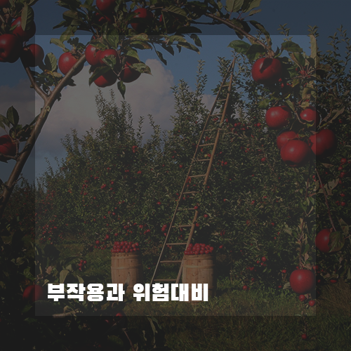 당뇨환자부작용과위험대비