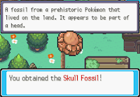Skull Fossil